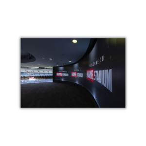 Bespoke LED Screens